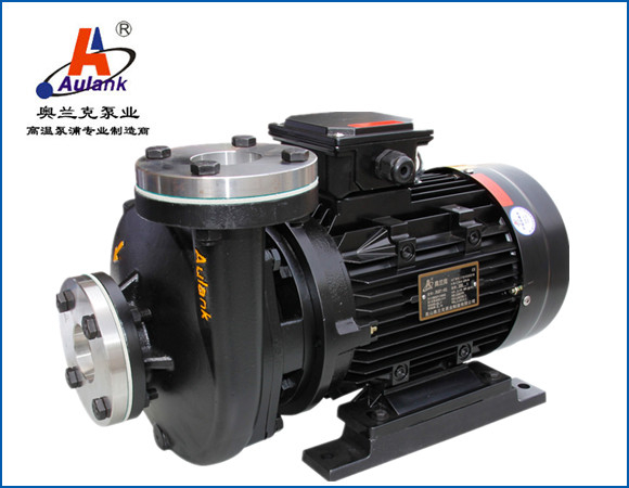 RGP熱水泵 熱水循環(huán)泵 高溫熱水泵